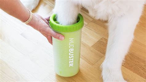 dog mud cleaner|mudbusters for dogs.